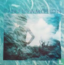 Flow Motion
