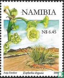 Euphorbia