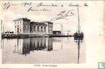Station zoologique