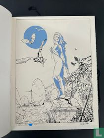 Le coffre de box-calf