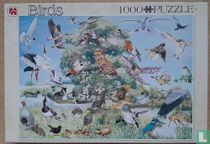 Birds Collage