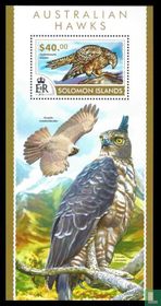Oiseaux de proie acheter