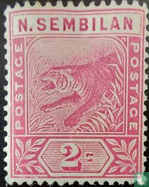 Tijger