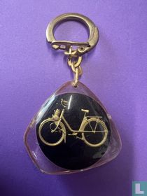 VeloSoleX
