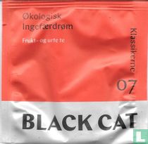Økologisk Ingefærdrøm