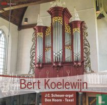 Scheuer-orgel Hervormde Kerk - Den Hoorn