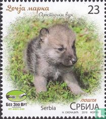 Arctic Wolf