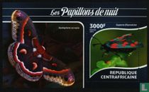 Papillons de nuit
