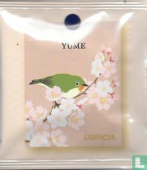 Yume 