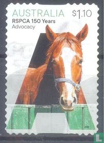 150 years of Animal Welfare RSPCA