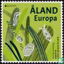 Europa - Underwater fauna and flora