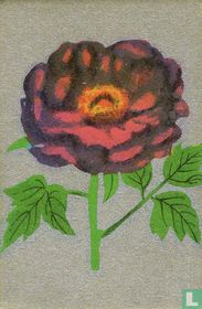 Bloemen