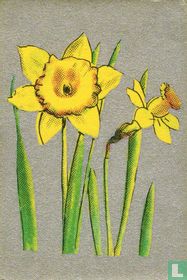 Bloemen