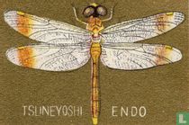 Tsuneyoshi endo - Libelle 