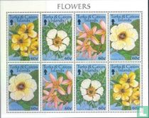 Blumen