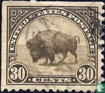 Bison d'Amérique