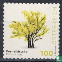 Trees