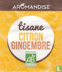 Citron Gingembre