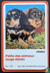 Petits des animaux / Jonge dieren