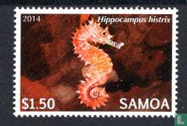 Animal species threatened with extinction