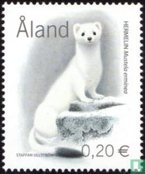 Ermine