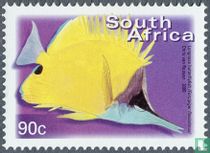 Fische