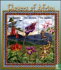 Flowers of African plants