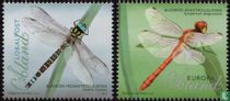 Dragonflies