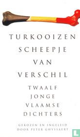 Turkooizen scheepje van verschil