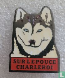Sur le Pouce Charlerois