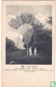 Jardin Botanique de Eala