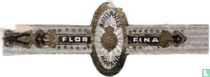 Brillantes Habana - Flor - Fina 