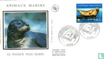 Le phoque veau marin