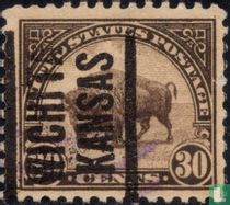 Bison d'Amérique du Nord
