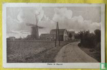 Molen te Buurse