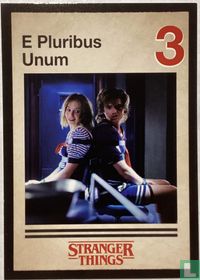 E Pluribus Unum