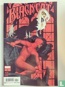 Black Cat 6