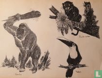 Dessins de la nature