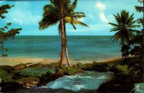 Paysage de Jamaïque