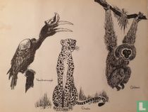 Dessins de la nature