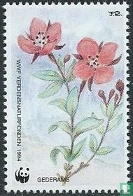 Fauna en Flora van Groenland kaufen