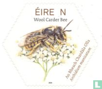 Native bees