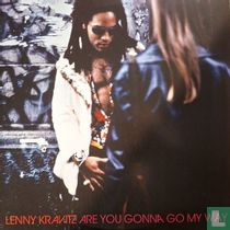 Are You Gonna Go My Way