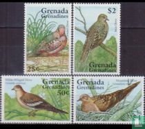 Vogels kopen