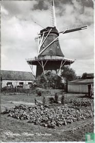 Wolvega, Molen Windlust