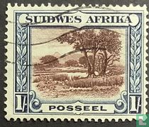 Waldlandschaft (Afrikaans)