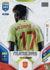 Nico Williams