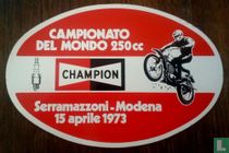 Campionata Del Mondo 250CC