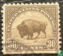 Bison d'Amérique du Nord