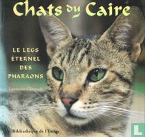 Chats du Caire